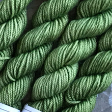 Load image into Gallery viewer, Mini Skein DK - Avocado