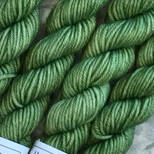 Load image into Gallery viewer, Mini Skein DK - Avocado