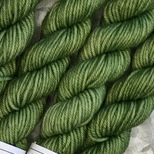 Load image into Gallery viewer, Mini Skein DK - Avocado