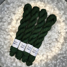 Load image into Gallery viewer, Mini Skein DK - Forest