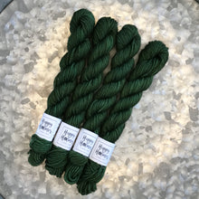 Load image into Gallery viewer, Mini Skein DK - Forest