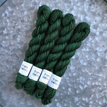 Load image into Gallery viewer, Mini Skein DK - Forest