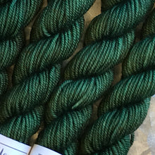 Load image into Gallery viewer, Mini Skein DK - Forest