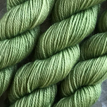 Load image into Gallery viewer, Avocado Mini Skein 80/20 sock