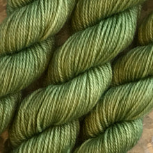 Load image into Gallery viewer, Avocado Mini Skein 80/20 sock