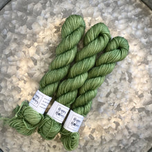 Load image into Gallery viewer, Avocado Mini Skein 80/20 sock