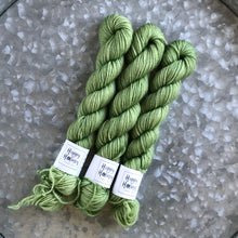 Load image into Gallery viewer, Avocado Mini Skein 80/20 sock