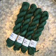 Load image into Gallery viewer, Forest Mini Skein 80/20 sock