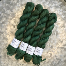 Load image into Gallery viewer, Forest Mini Skein 80/20 sock