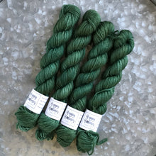 Load image into Gallery viewer, Forest Mini Skein 80/20 sock