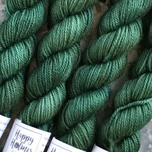 Load image into Gallery viewer, Forest Mini Skein 80/20 sock