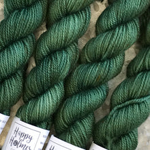 Load image into Gallery viewer, Forest Mini Skein 80/20 sock