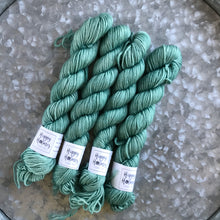 Load image into Gallery viewer, Grandma's Dress Mini Skein 80/20 sock