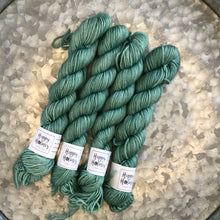 Load image into Gallery viewer, Grandma's Dress Mini Skein 80/20 sock