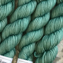 Load image into Gallery viewer, Grandma's Dress Mini Skein 80/20 sock