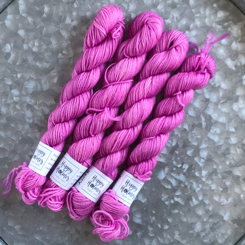 Berry Mini Skein 80/20 sock
