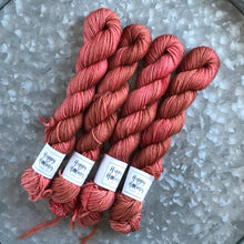 Load image into Gallery viewer, Terra Cotta Mini Skein 80/20 sock
