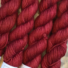 Load image into Gallery viewer, Poppy Mini Skein 80/20 sock