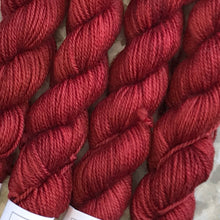 Load image into Gallery viewer, Poppy Mini Skein 80/20 sock