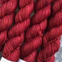 Load image into Gallery viewer, Poppy Mini Skein 80/20 sock