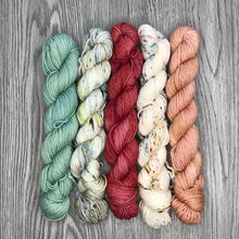 Load image into Gallery viewer, Mini Skein Set - Vintage Christmas-  80/20 sock
