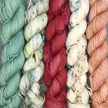 Load image into Gallery viewer, Mini Skein Set - Vintage Christmas-  80/20 sock