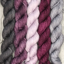 Load image into Gallery viewer, Mini Skein Set - Royal Plum -  80/20 sock