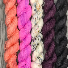 Load image into Gallery viewer, Mini Skein Set - Party Time -  80/20 sock