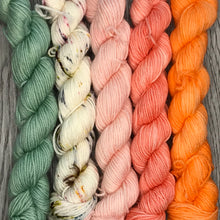 Load image into Gallery viewer, Mini Skein Set - Garden Party -  80/20 sock