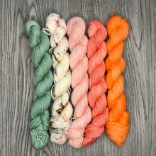 Load image into Gallery viewer, Mini Skein Set - Garden Party -  80/20 sock