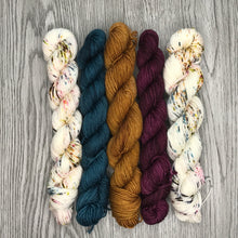 Load image into Gallery viewer, Mini Skein Set - Fall Favs -  80/20 sock