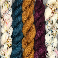 Load image into Gallery viewer, Mini Skein Set - Fall Favs -  80/20 sock